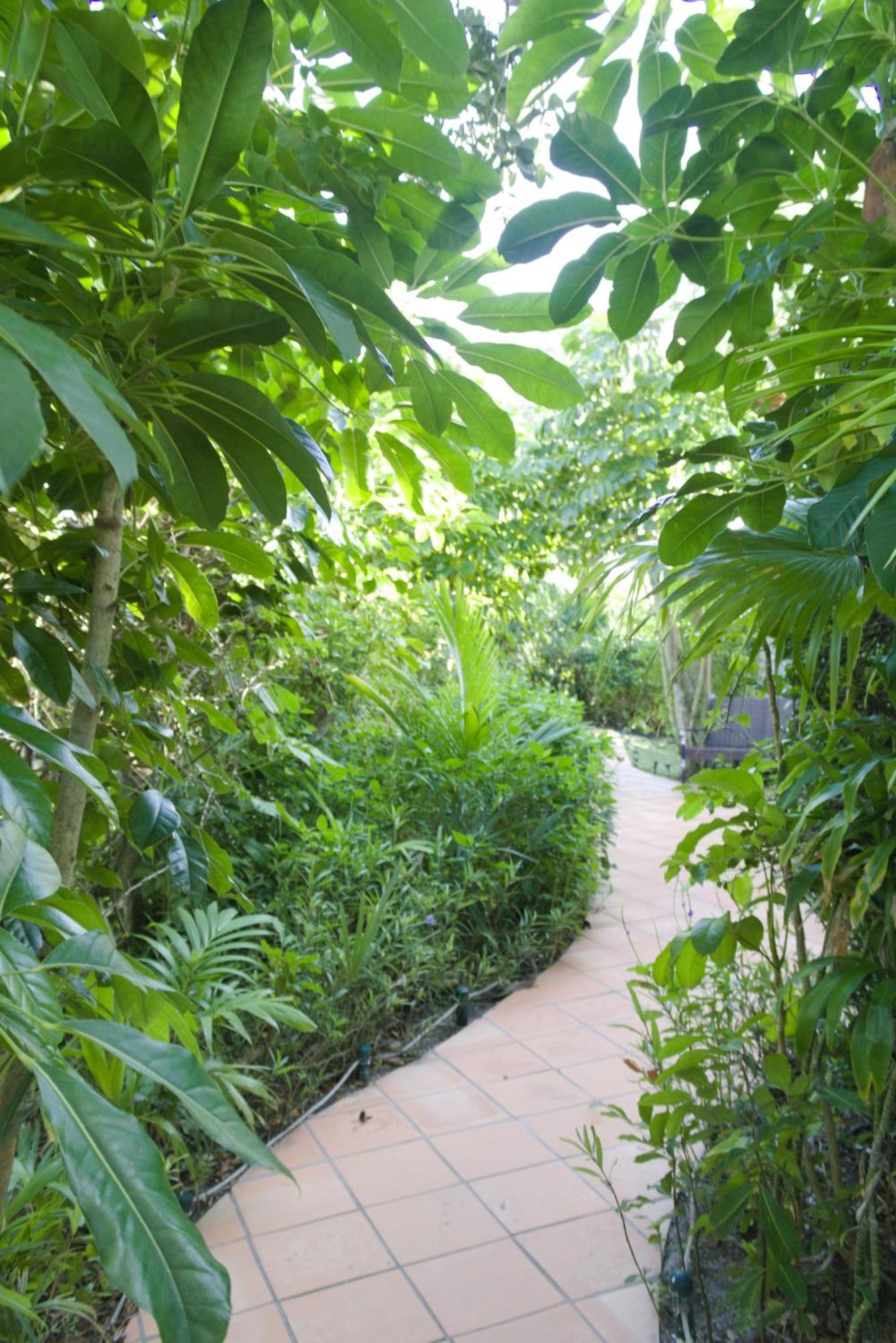 The Caribbean Court Boutique Hotel Веро Бич Экстерьер фото
