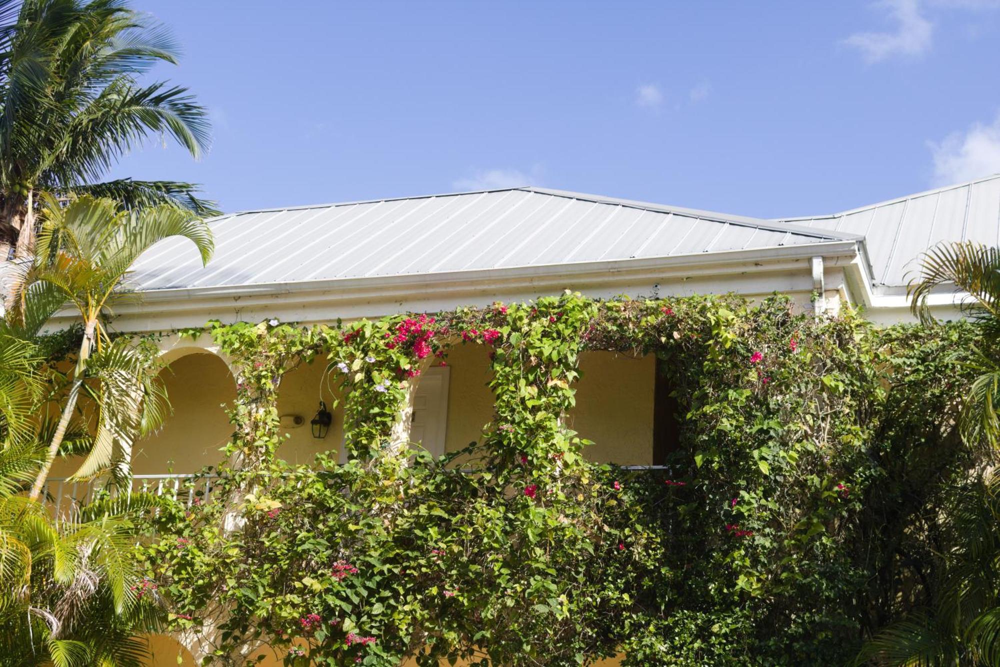 The Caribbean Court Boutique Hotel Веро Бич Экстерьер фото